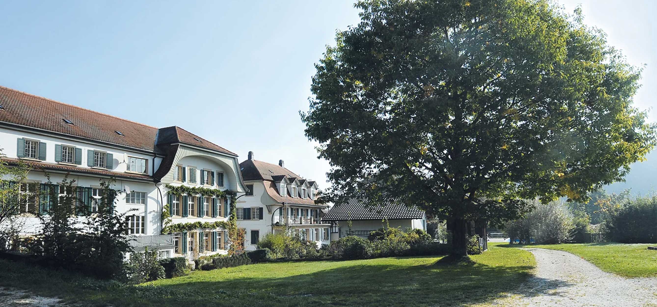 Bild zeigt Außenansicht mit grünem Parks am Landgut Ried.